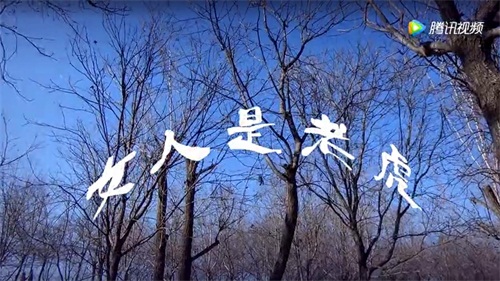 女人是老虎