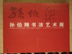 孙伯翔书法艺术展