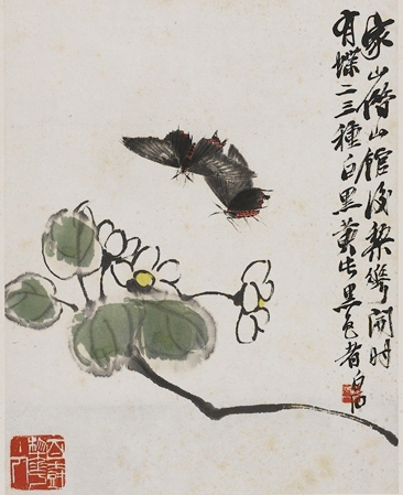 花与凤蛾